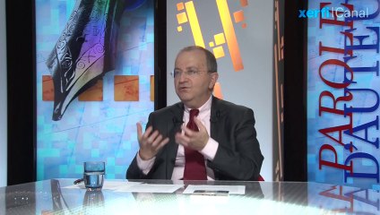 Vivien Levy-Garboua, Xerfi Canal Les coupables de la crise de l'euro : le regard du banquier