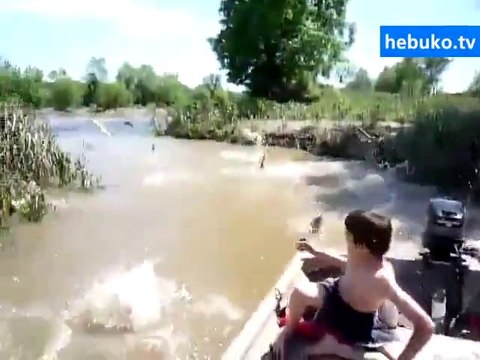 böylesini daha önce hiç görmediniz..