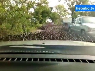 gözlerinize inanamayacaksınız!! mutlaka izleyin