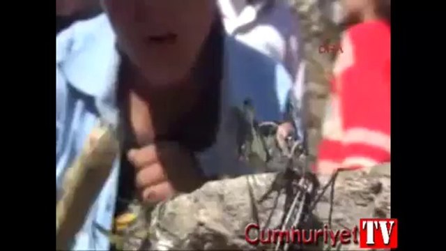 Van'da çekirgeler bir mahalleyi istila etti