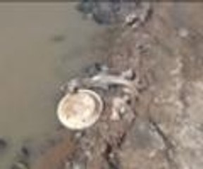 Her şey balıkları kurtarmak için