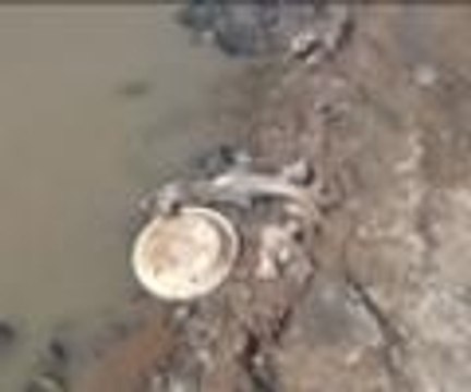 Her şey balıkları kurtarmak için