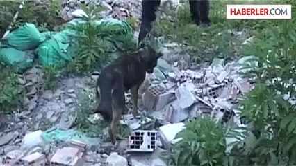 Direğe bağlanan köpeğe itfaiyeden yardım eli -