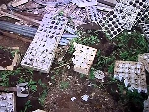 Албанские силовики взяли штурмом «конопляный рай