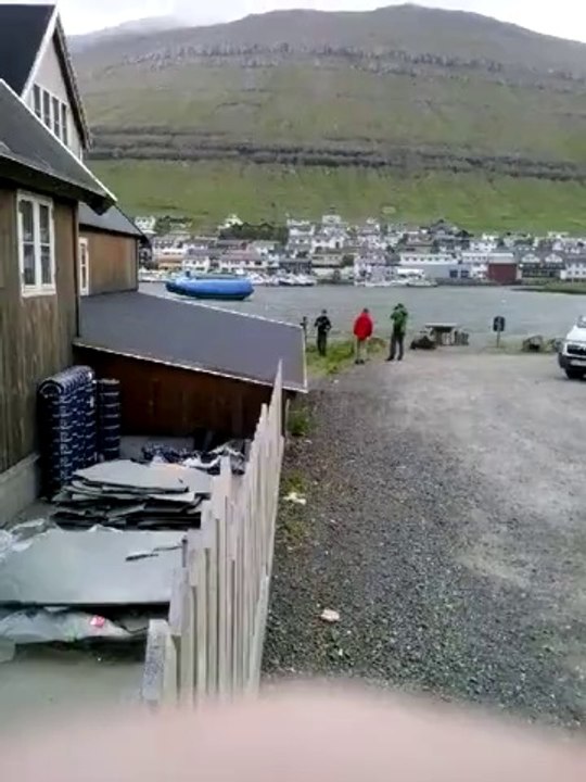 sea shepherd lying to tourist faroe islands