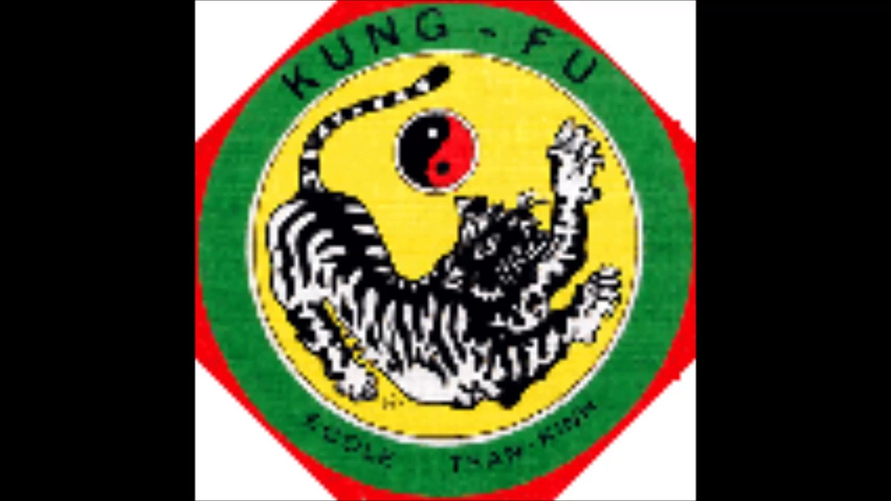 RETOUR DU TIGRE VOLANT - Tel. 01 45 77 30 78