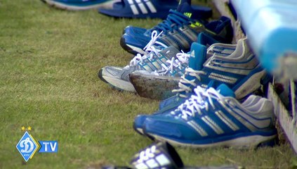 Динамо вышло из отпуска