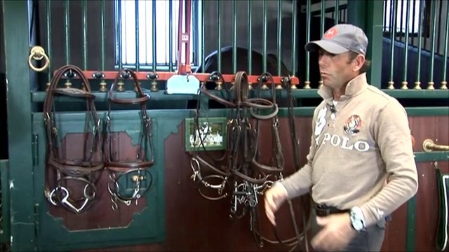 Cheval Pratique - Focus equipements : Les mors