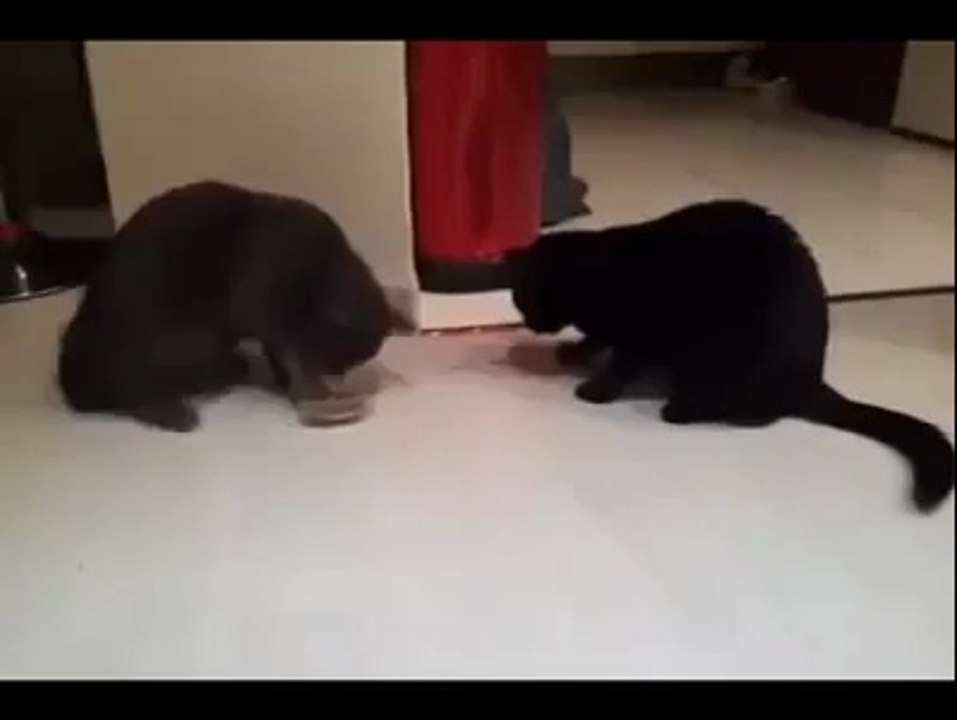 Bu mama benim...Hayır benim..