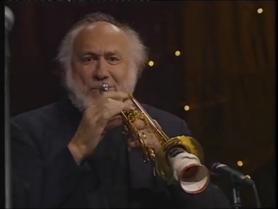 Nikolai Rimski-Korsakow: Hummelflug (mit Trompete, skurril, kurios!) HD