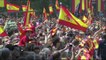 Flags and cheers greet Spain's new King Felipe VI