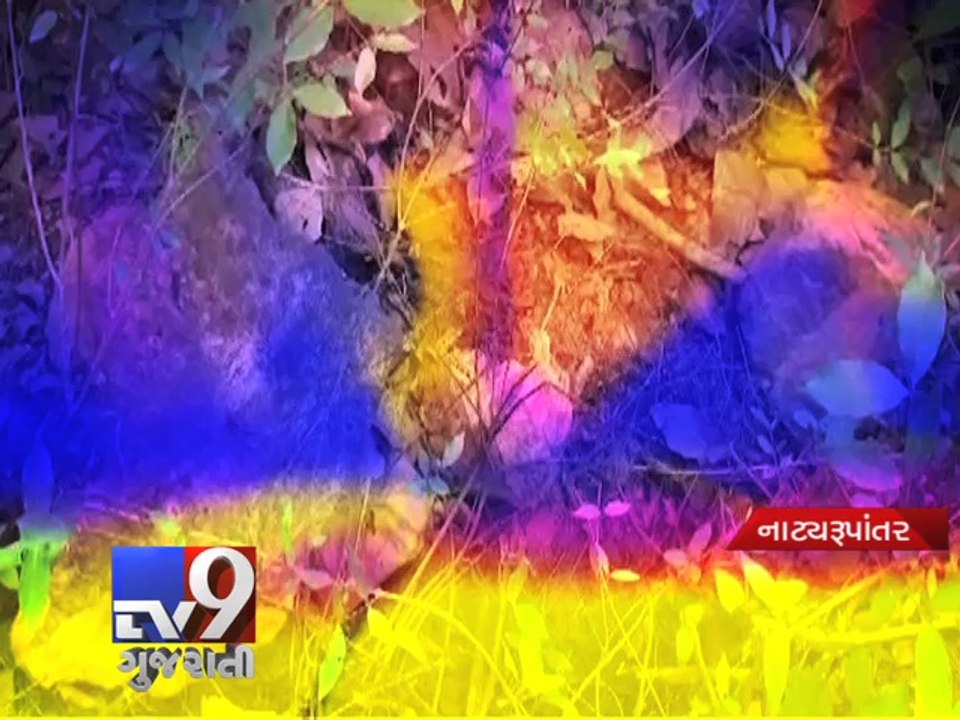 Kin throws girl in well, lover killed in Mumbai - Tv9 Gujarati