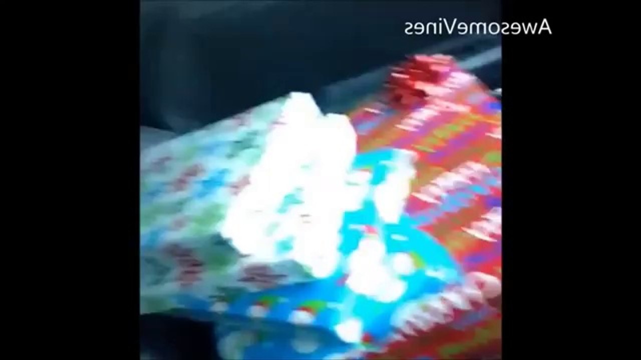 ★Best Christmas Vine videos★ HD