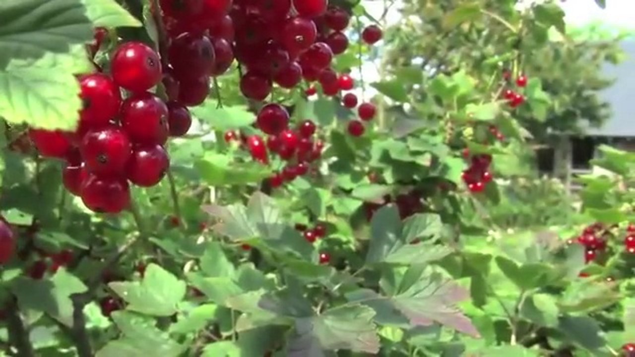 Portes ouvertes à la Ferme du Bec Hellouin
