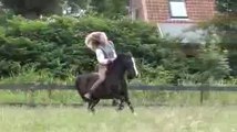 At - Atlar -Horse Fight Big - Horses   (9)