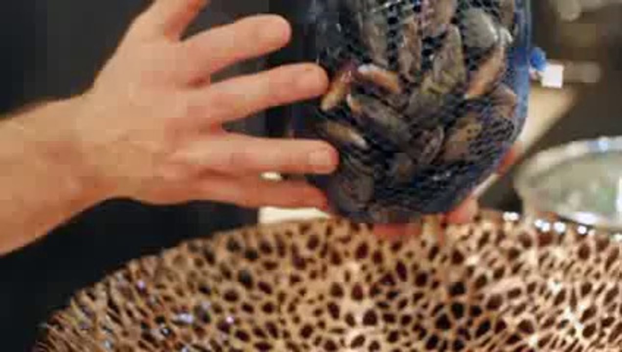 Cooking Recipes - How To Create Mouth Watering Paleo Meals