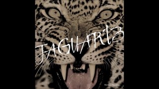 Jaguar '13