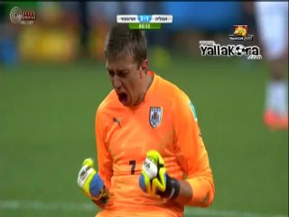 لقطات مميزة تثير الإعجاب 📸