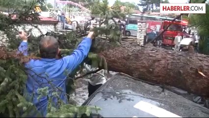 Ağaç, Park Halindeki Gelin Arabasının Üzerine Devrildi