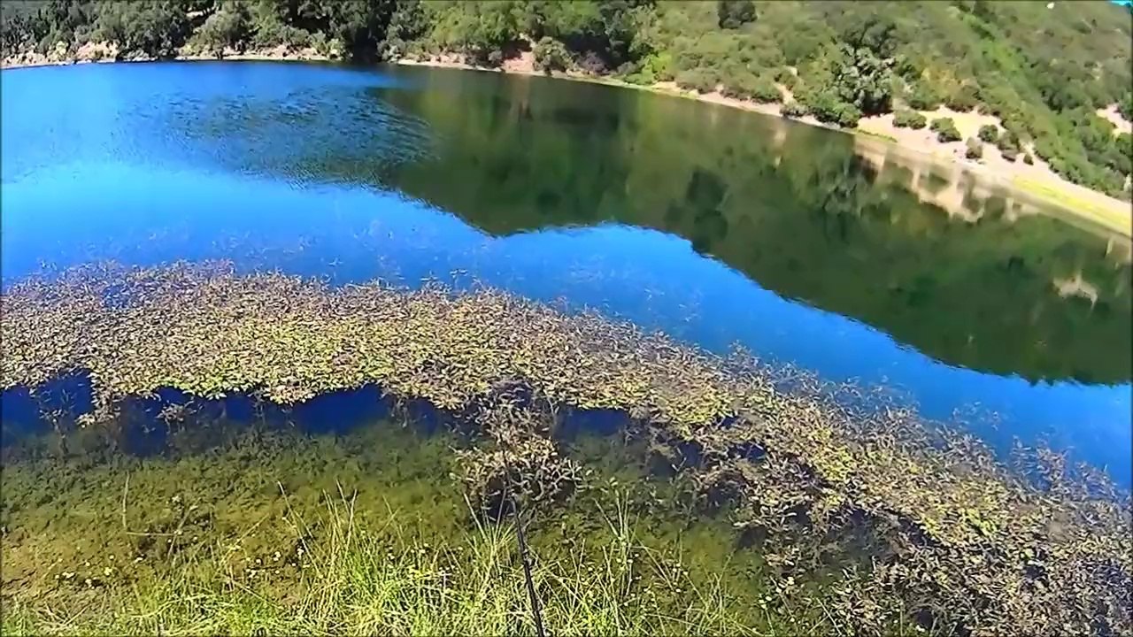 Largemouth Bass Fishing Strike King Swim Jig