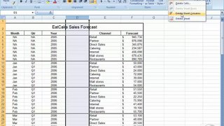 Excel 2007 Essential Training-12-Inserting and deleting cells