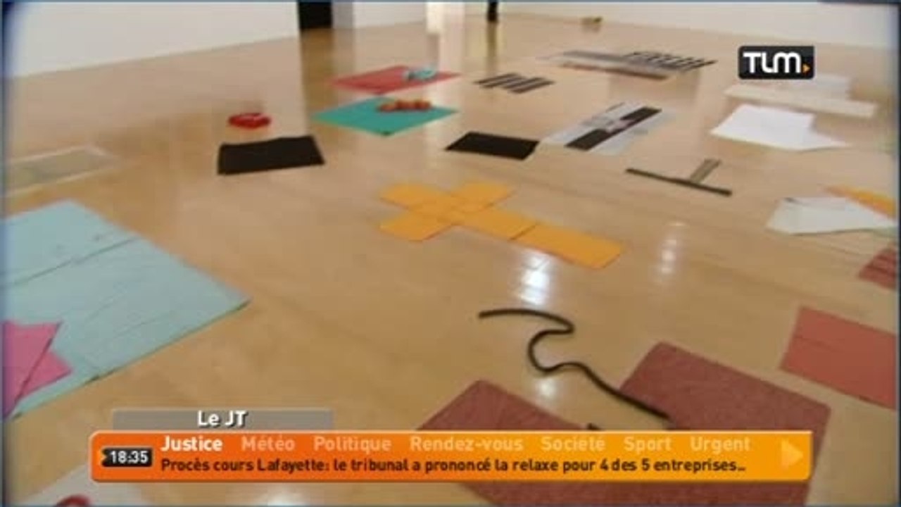 Lyon: le Brésil à l'honneur du musée d'art contemporain