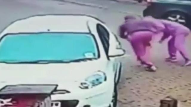 Thieves Caught on Camera Stealing Pug from 6-Year-Old Burn Victim