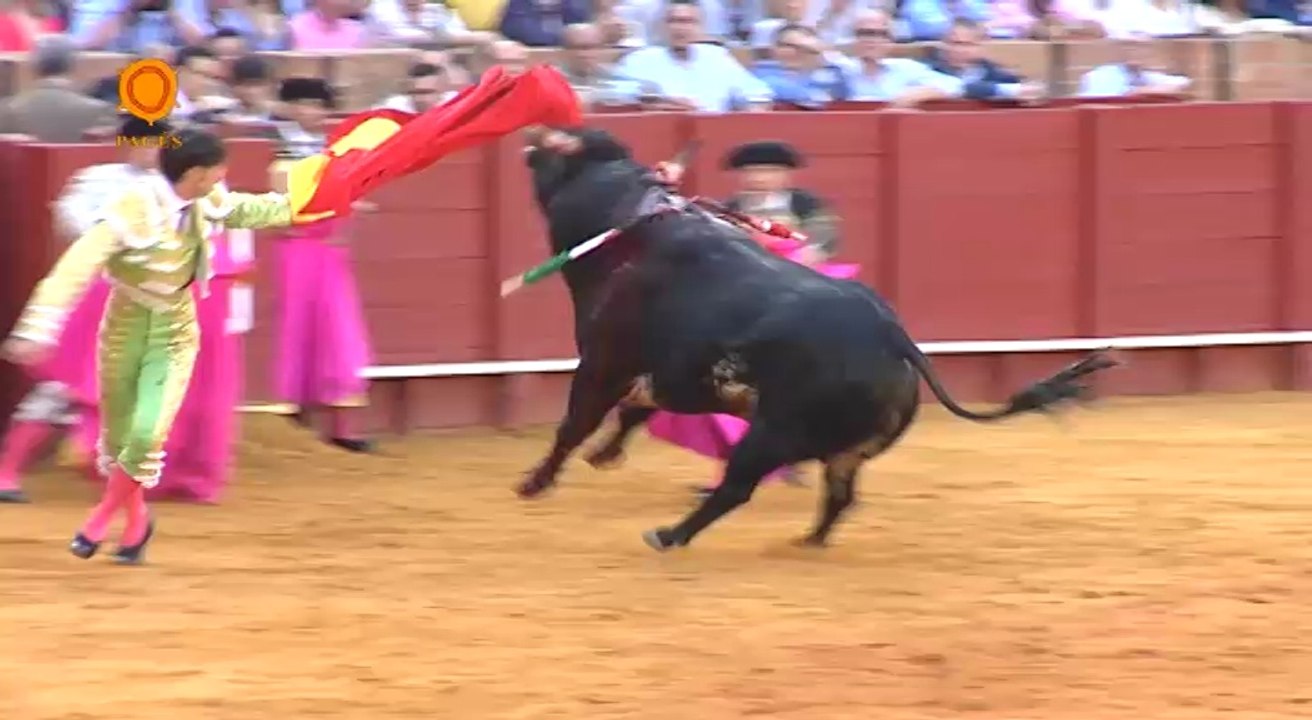 Resumen de la corrida del 19 de junio, día del Corpus 2014 en Sevilla