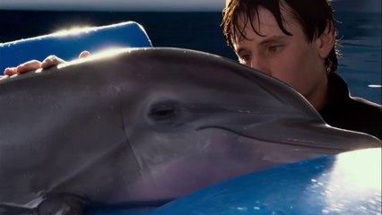 Dolphin Tale 2 - Trailer 2 for Dolphin Tale 2