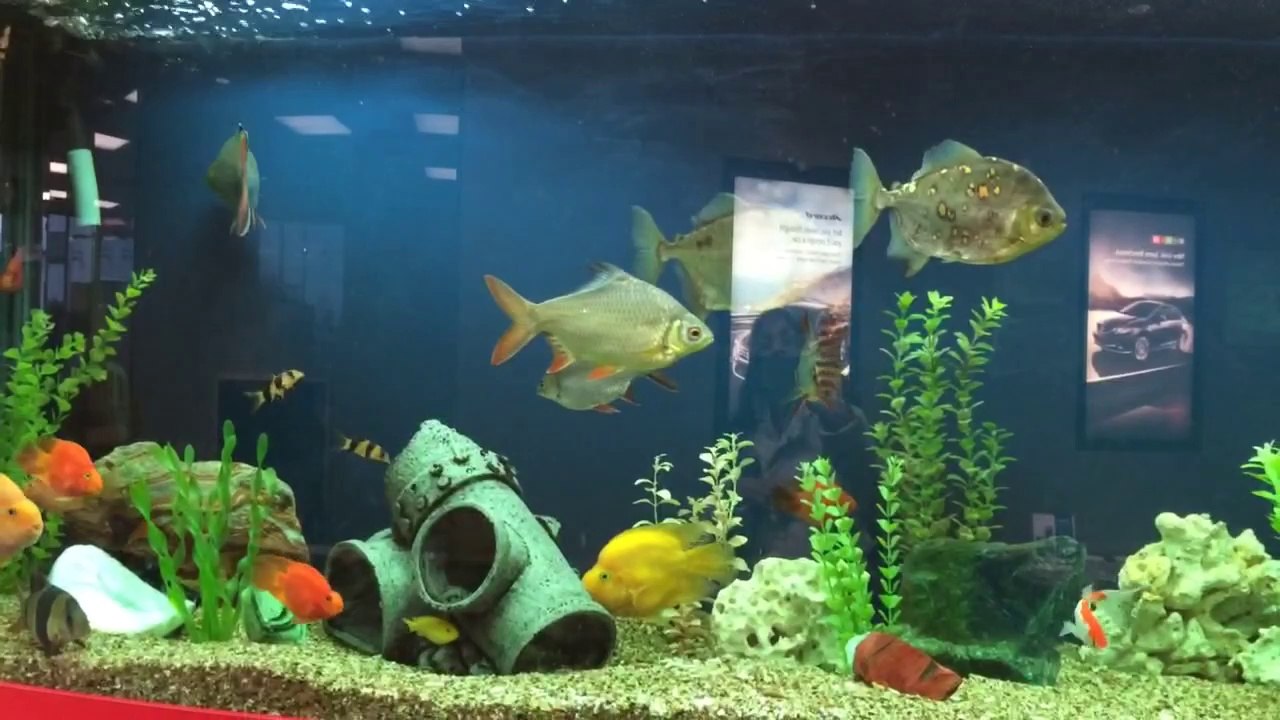 Mobile Capture Dec 31, 2013