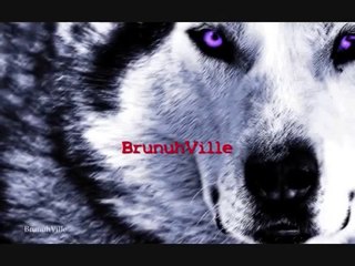 Sad Piano- New Dawn (Part II) - The Wolf's Twilight