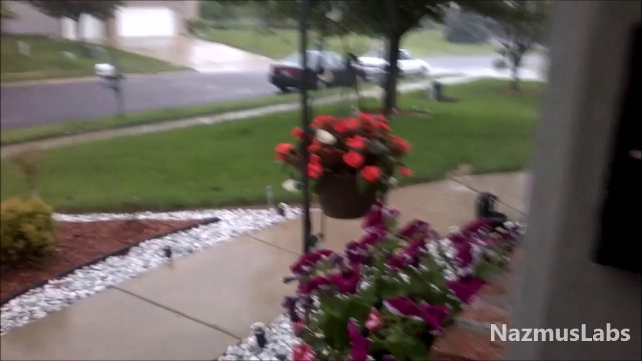 Rainy Driveway - Daily Spotlight 8