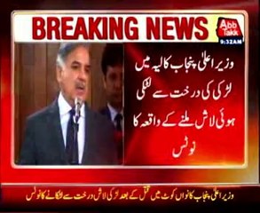 Women found hanging from a tree in Layyah, CM Punjab took notice