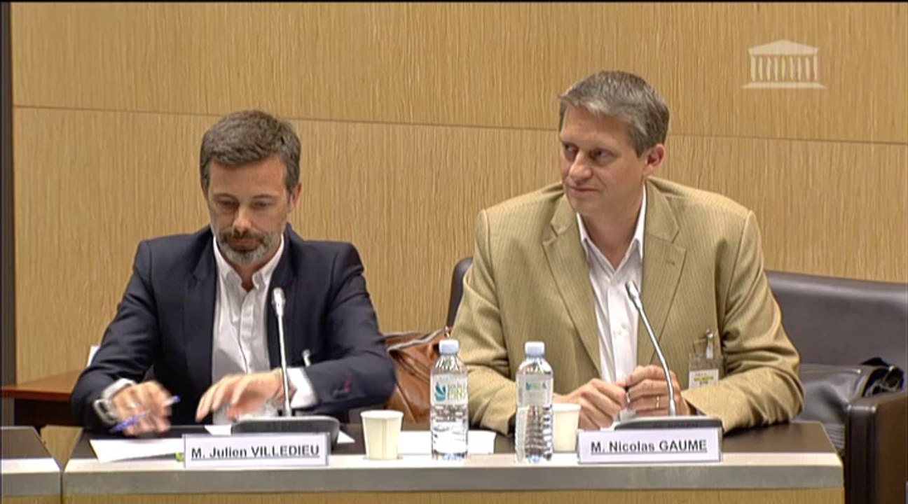Audition de MM. Nicolas Gaume et Julien Villedi...