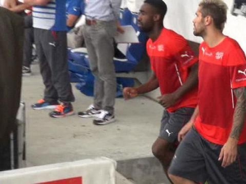 France-Suisse: le melting-pot réussi de la "Nat...