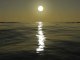 Water movement in 3ds max,sunset,sea sun set