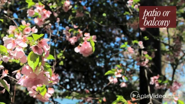 Spruce Run Apartments in North Royalton, OH - ForRent.com