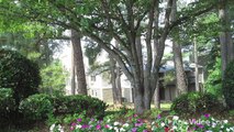 Chimneys At Brookfield Apartments in Columbia, SC - ForRent.com