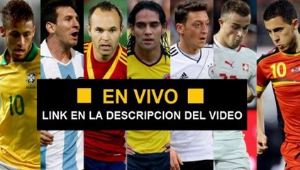 Ver el Partido Suiza vs Francia en VIVO 20 de Junio Mundial Brasil 2014