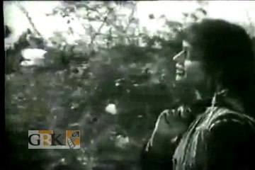 NAHID NIAZI - IK ALBELA PARDESI - JHOOMAR
