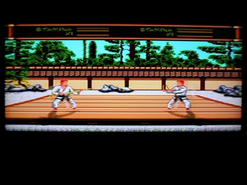 Lets Play Budokan For The Sega Megadrive - Classic Retro Game Room