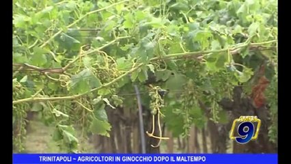 Trinitapoli | Agricoltori in ginocchio dopo il maltempo