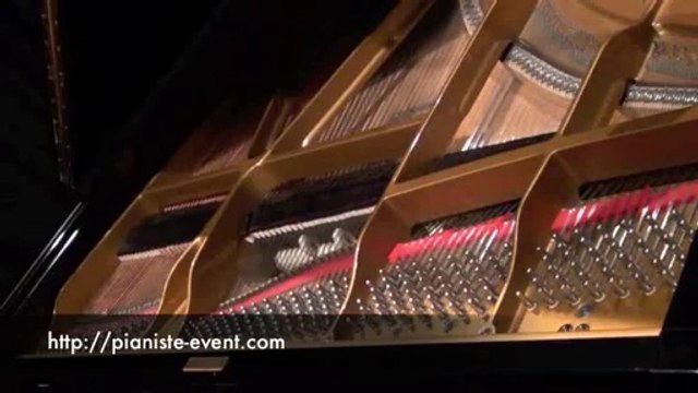 Pianiste pour mariage, soirée privée, évènement d'entreprise en Touraine: dansez sur moi