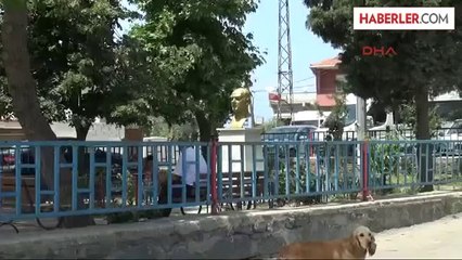 Akpınar Muhtarı: Bölge İnsanının Mağdur Edilmeyeceğini Düşünüyoruz