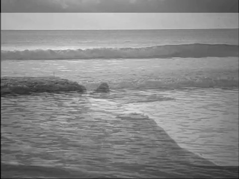 Plage du débarquement de Normandie 1944 Omaha Beach Utah Beach Sword Beach
