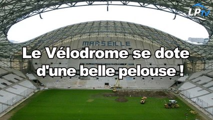 Le Vélodrome se dote d'une belle pelouse