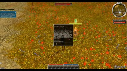 [FR] - Guild Wars I - Episode # 1 - Premiers Pas en Tyrie