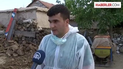 Şarbon karantinası -