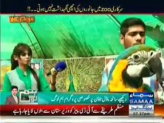 Awam Ki Awaz - 20th June 2014