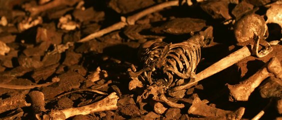 Ragnarok Official US Release Trailer #1 (2013) - Norwegian Action Movie HD